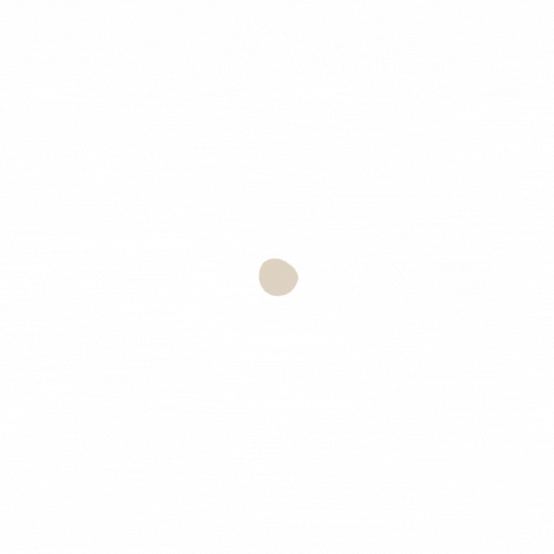 Next.js logo